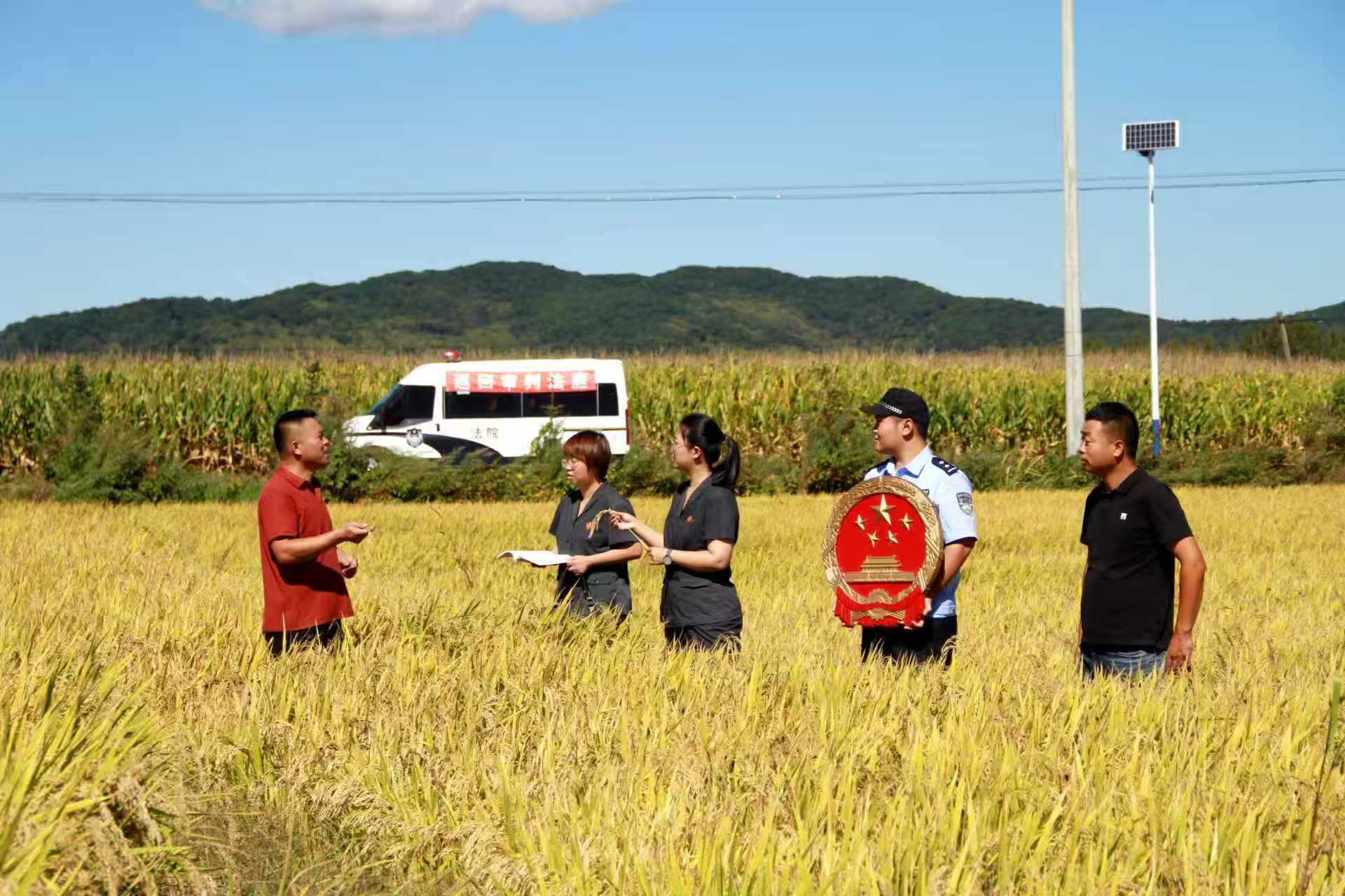  党建引领聚合力 红色调解筑根基﻿   