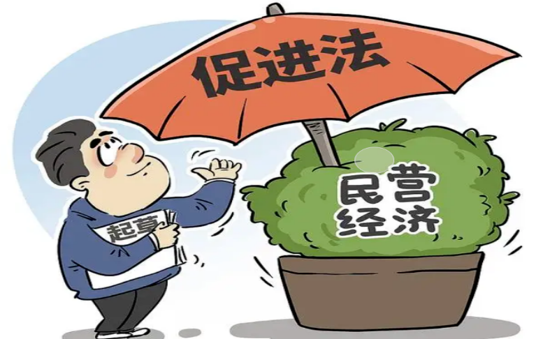 长白法院开展《民营经济促进法》为民营经济