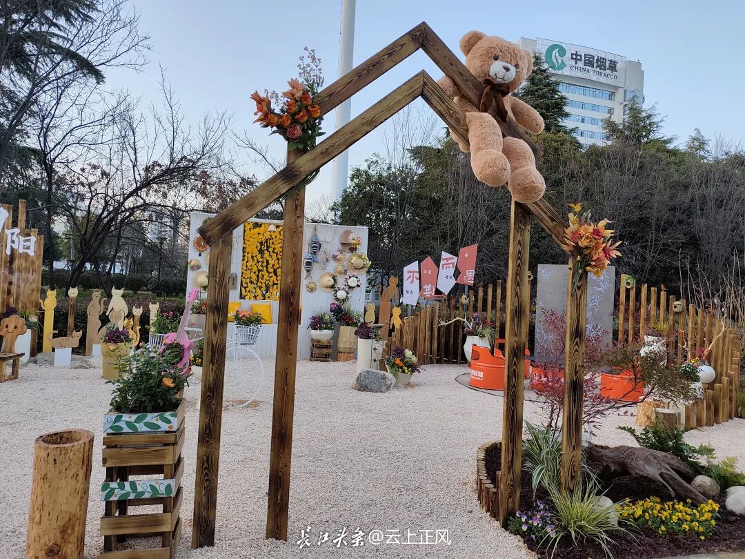 南阳中心城区新增一处“网红打卡点”