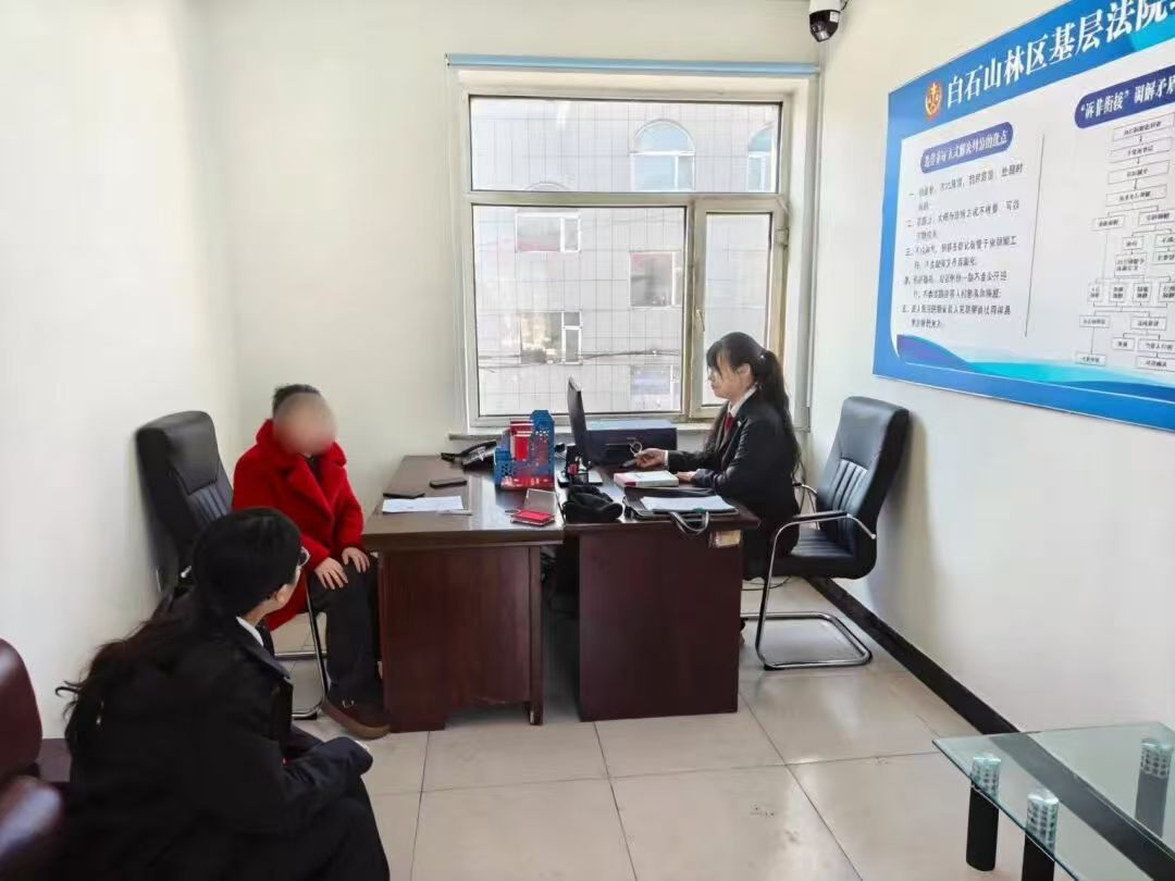 党建领航 速裁先锋——白石山林区基层法院