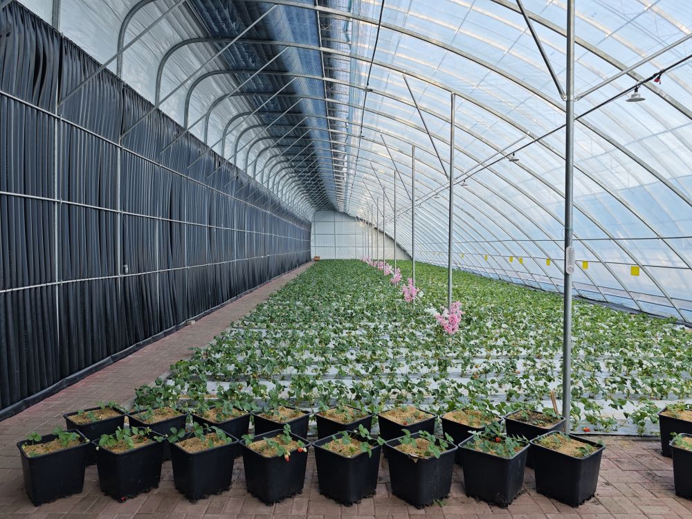 习近平总书记关切事｜以林为笔的生态答卷