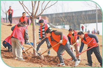 今天，我们这样参与义务植树
