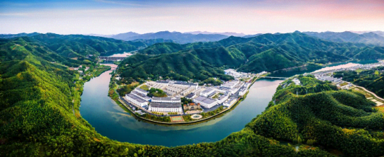 生态为基 多元共生：迎驾集团的高质量发展之路